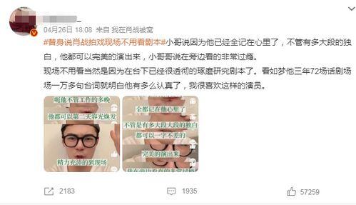 肖战替身爆料视频大全集,揭秘幕后真相与幕后故事